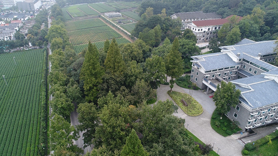 杭州茶葉綜合試驗基地2.jpg