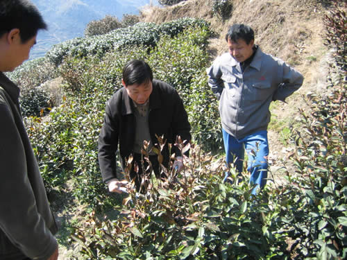 專家現場技術指導